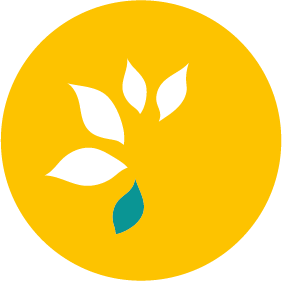 5. Ausbildungs-seminar
