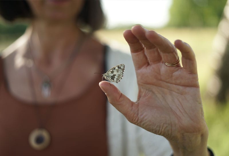 Schmetterling sitzt auf Katharinas Hand